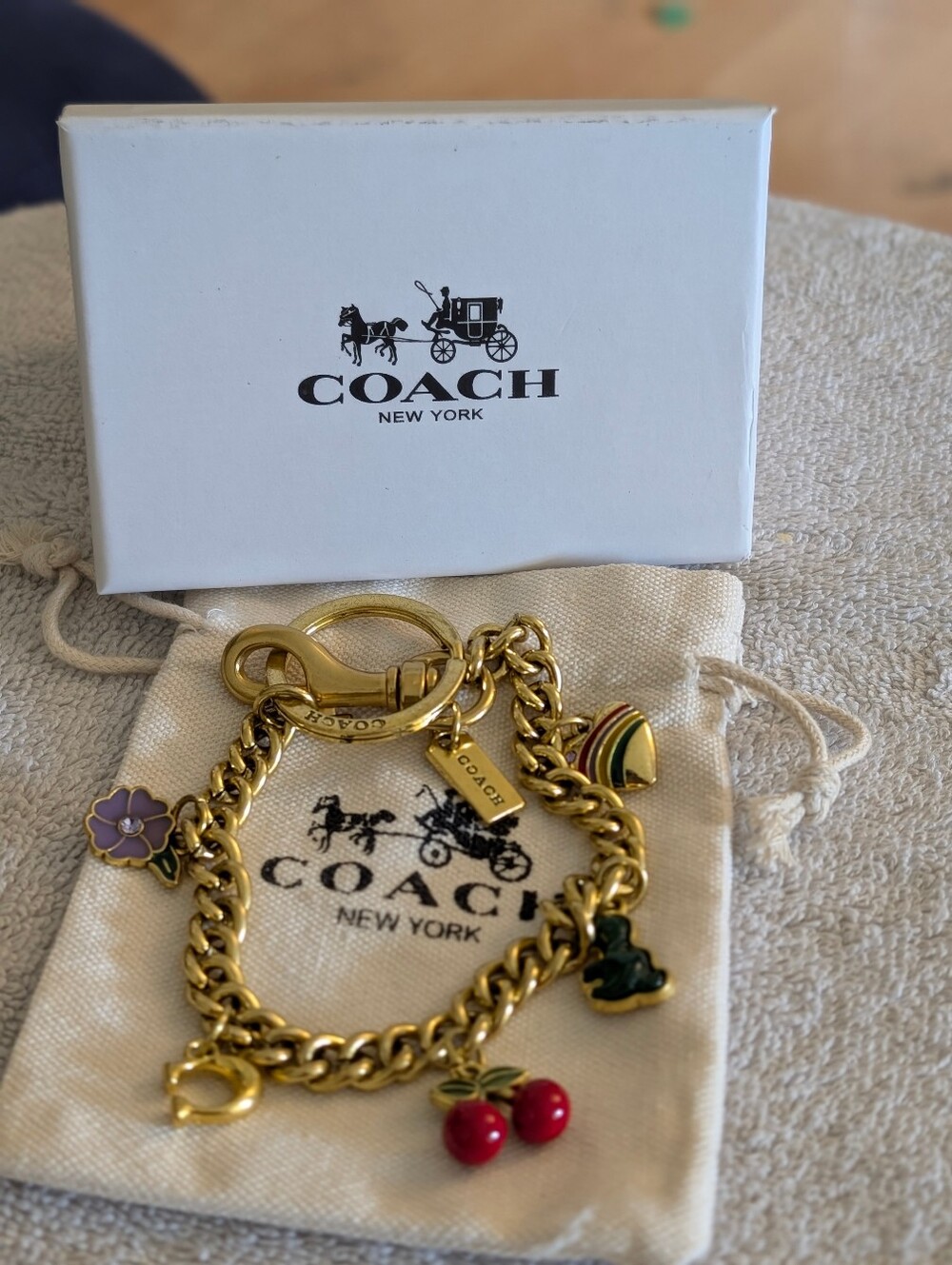 NIB Coach Motif Chain Bag Charm